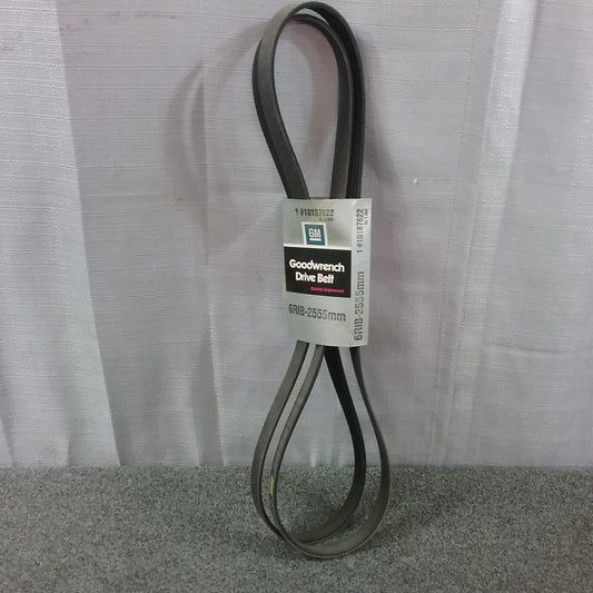 NEW GENUINE GM 10187622 SERPENTINE BELT 6RIBS-2555MM GR 1.066