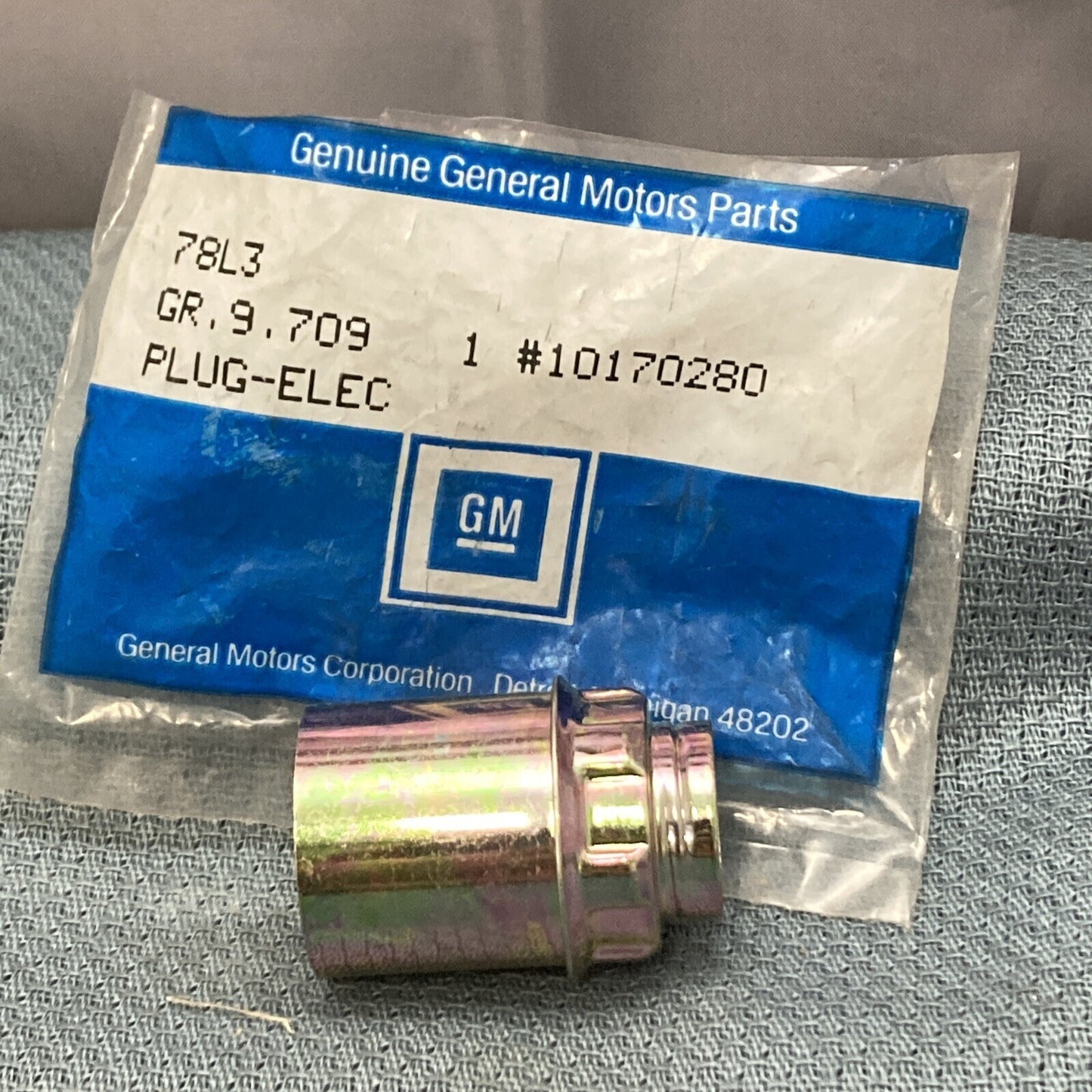 NEW GENUINE GM 10170280 HOUSING, 12 VOLT ACCESSORY POWER OUTLET GR 9.709