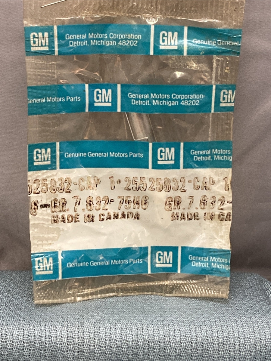 NEW GENUINE GM 25525832 CAP, R/BUMPER FASCIA MOLDING, RIGHT 1985-1991 GR 7.832