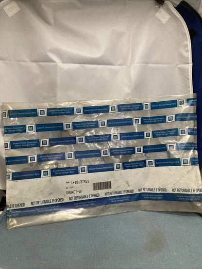 NEW GENUINE GM 10137491 GASKET, WATER PUMP COVER GR.1.079