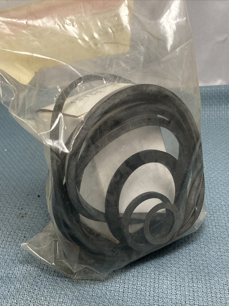 NEW RIVERSIDE PUMPS A48367A OVERHAUL SEAL KIT