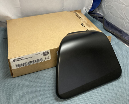 NEW GENUINE HARLEY DAVIDSON 76000376BYM DOOR ASY, MEDIA STORAGE, RH BLK