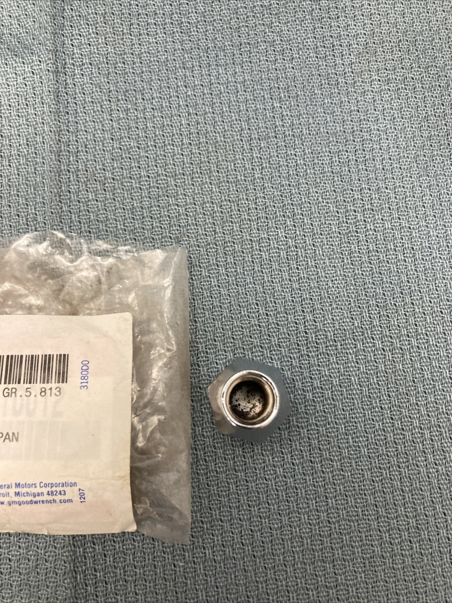 NEW GENUINE GM 96053027 NUT, HUB FRONT & REAR, M10X1.25X21 1985-1994 GR 5.813