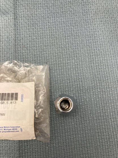 NEW GENUINE GM 96053027 NUT, HUB FRONT & REAR, M10X1.25X21 1985-1994 GR 5.813