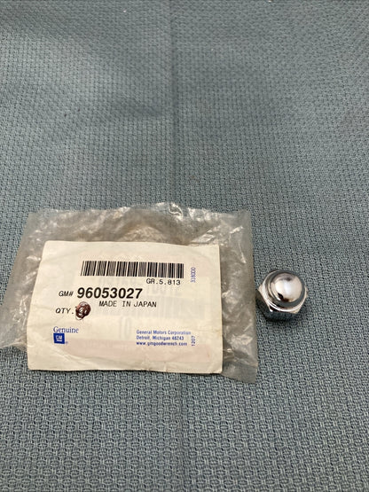 NEW GENUINE GM 96053027 NUT, HUB FRONT & REAR, M10X1.25X21 1985-1994 GR 5.813