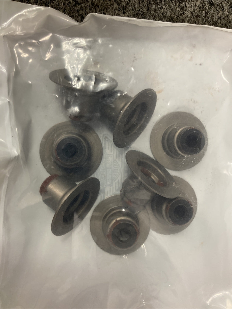 NEW GENUINE HARLEY DAVIDSON 25700729 KIT,CVR/SLG,TOP END