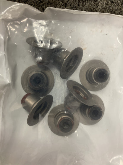 NEW GENUINE HARLEY DAVIDSON 25700729 KIT,CVR/SLG,TOP END