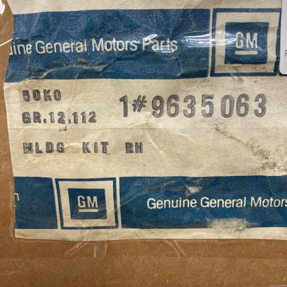 NEW GENUINE GM 9635063 MOLDING KIT, LOWER RH DOOR GR 12.112