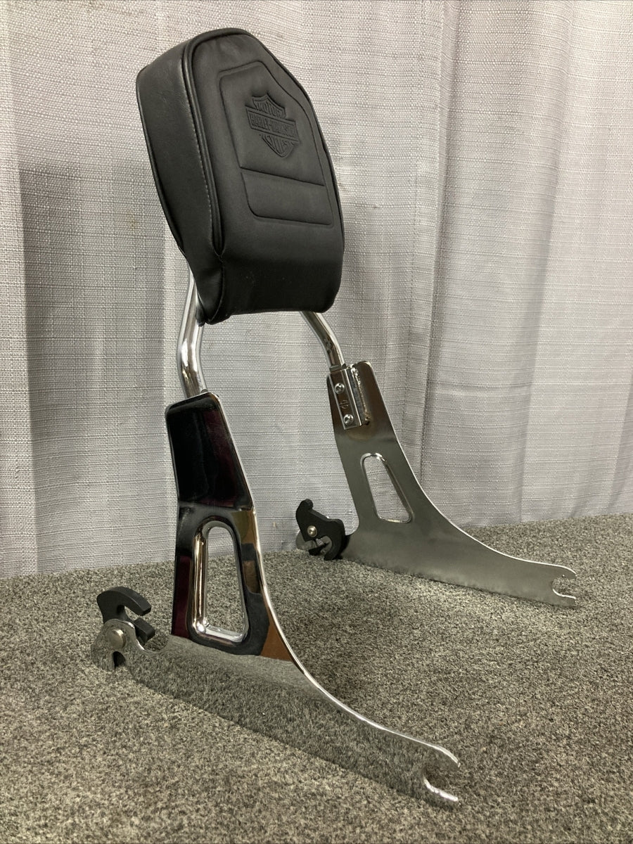 NEW HARLEY DAVIDSON 52300018 Standard Style Sissy Bar 52866-06A Side Plates
