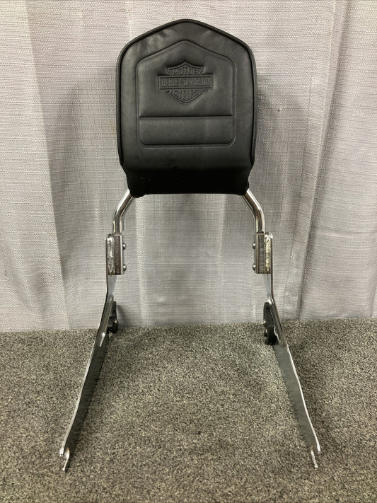 NEW HARLEY DAVIDSON 52300018 Standard Style Sissy Bar 52866-06A Side Plates