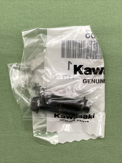 NEW GENIUNE KAWASAKI 99999-0573 Kit, Camshaft Tensioner Far MC1701