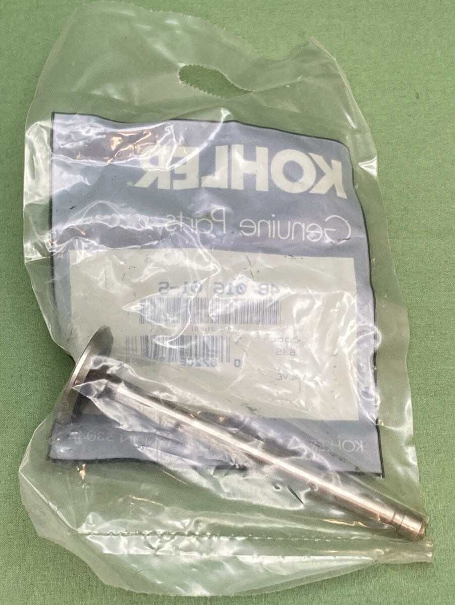 NEW GENUINE KOHLER 48 016 01-S VALVE