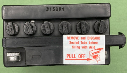 NEW GENUINE YAMAHA CB3-LB000-00 CB3LB Gs Battery CB3L-B W/O ACID