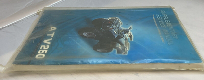 ATV 250 SUPPLEMENTARY SERVICE MANUAL 2003