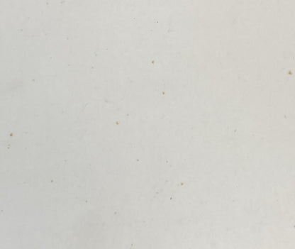 WIS-CON TOTAL POWER MODEL VG4D REPAIR MANUAL