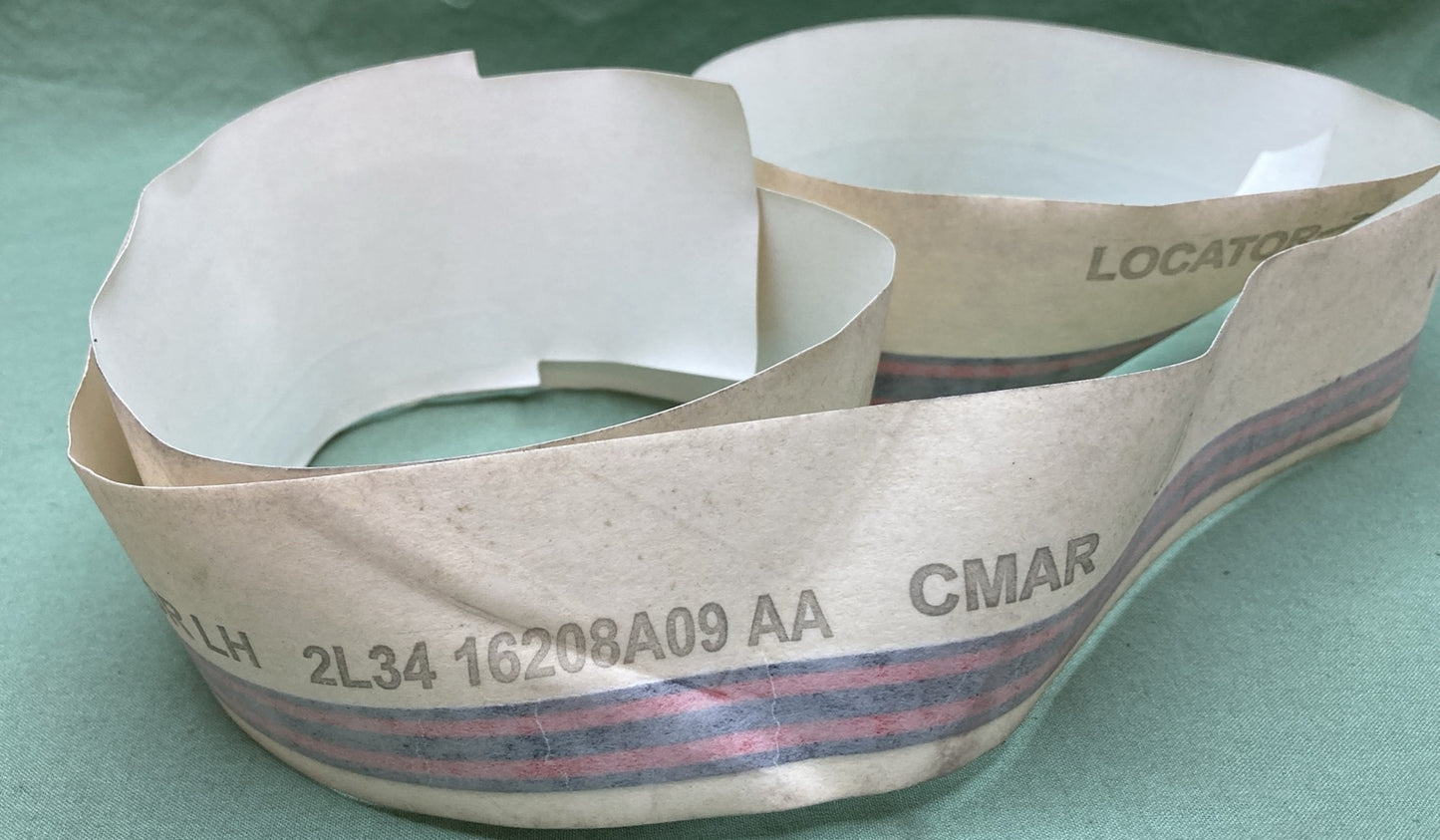 NEW GENUINE FORD 2L34 16208A08 AA  STRIPE KIT HARLEY DAVIDSON EDITION F-150