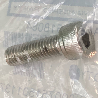 NEW GENUINE POLARIS 7518084 A-ARM/STRUT MOUNTING Socket Head Screw 8 mm x 25 mm