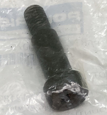 NEW GENUINE POLARIS 7519075 Rear Rack and Brushguard Screw