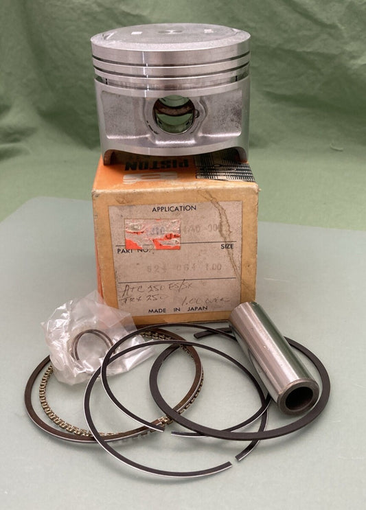 NEW SUDCO 624-064 ATC250ES/SK TRX250 1.00 OVER PISTON KIT