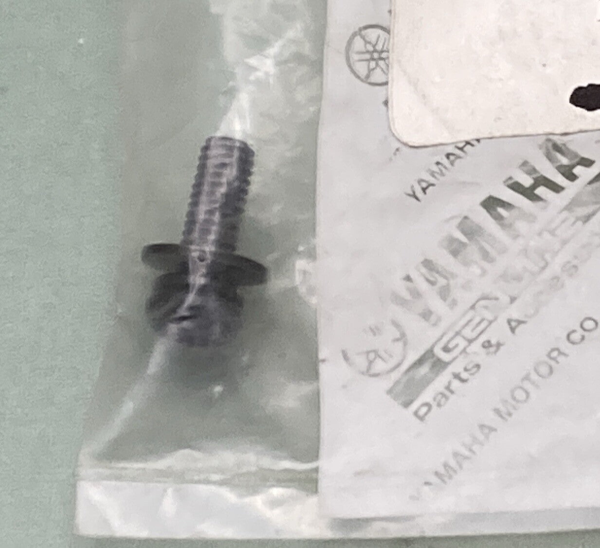 NEW GENUINE YAMAHA 3GM-2589H-00 FRONT MASTER CYLINDER 1 Screw W/washer