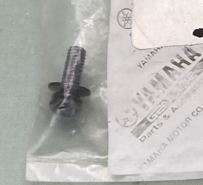 NEW GENUINE YAMAHA 3GM-2589H-00 FRONT MASTER CYLINDER 1 Screw W/washer