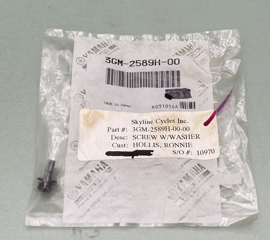 NEW GENUINE YAMAHA 3GM-2589H-00 FRONT MASTER CYLINDER 1 Screw W/washer