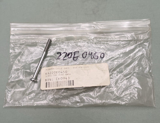 QTY 2 NEW REPLACES KAWASAKI 220E0450 HEADLIGHT SCREW PAN HEAD