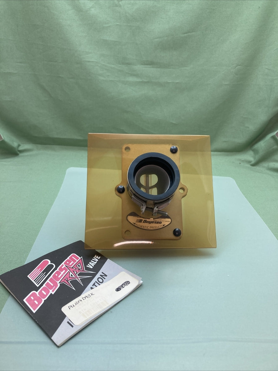 NEW BOYESEN 4879976 RAD VALVE