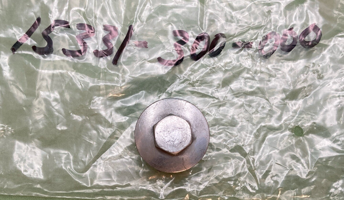 NEW REPLACES HONDA 15331-300-000 CAP, OIL PASSAGE