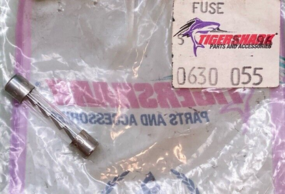 QTY 4 NEW GENUINE TIGERSHARK 0630-055  FUSE, 6 AMP 3AG SUPERSEDED 0630-014