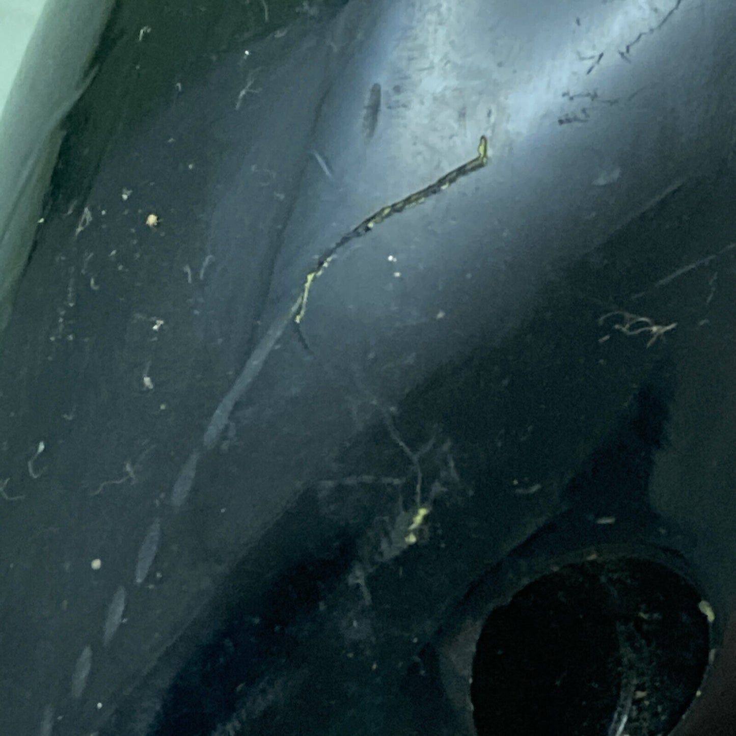 MERCURY QUICKSILVER 11-31608 PROP NUT MERC II GEAR HSNG ASM