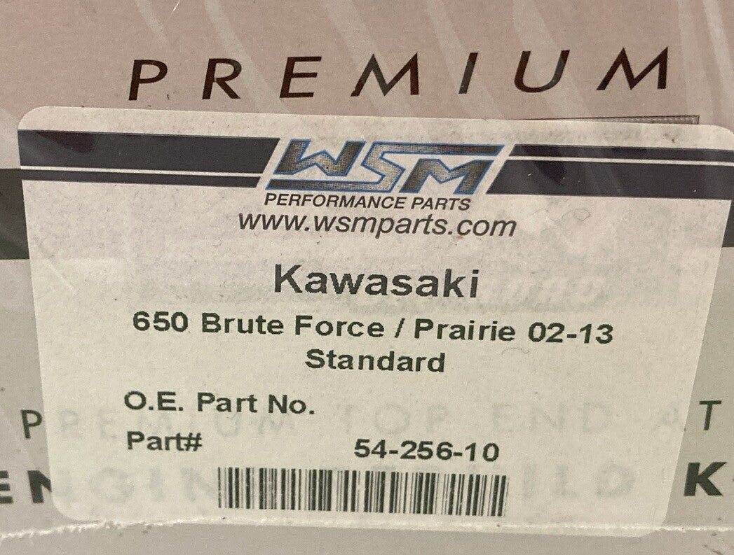 NEW WSM  54-256-10 TOP-END REBUILD KIT, KAWASAKI