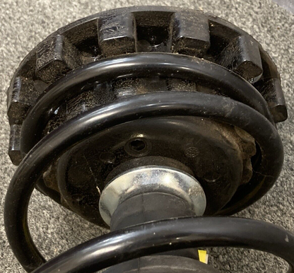 NEW MONROE ROADMASTER 181616 Suspension Strut and Coil Spring Assembly Rear FORD