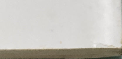 GENUINE MERCURY 90-44421 MERCURY OPERATION & MAINTENANCE MANUAL 20 MODELS 1984