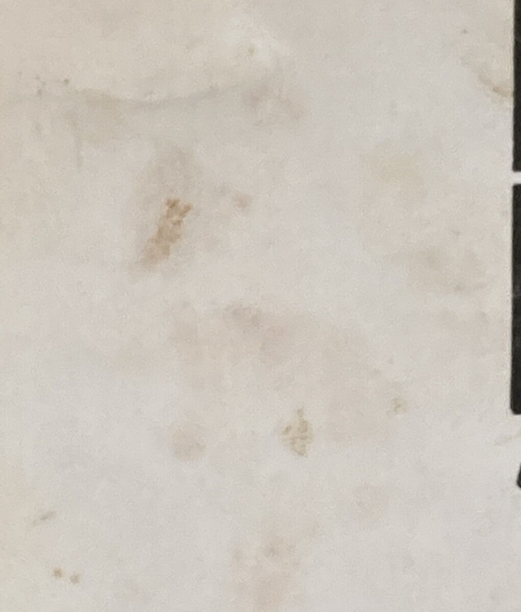 MERCURY FORCE OUTBOARDS 0B4204-1 OPERATOR'S MANUAL 85/125