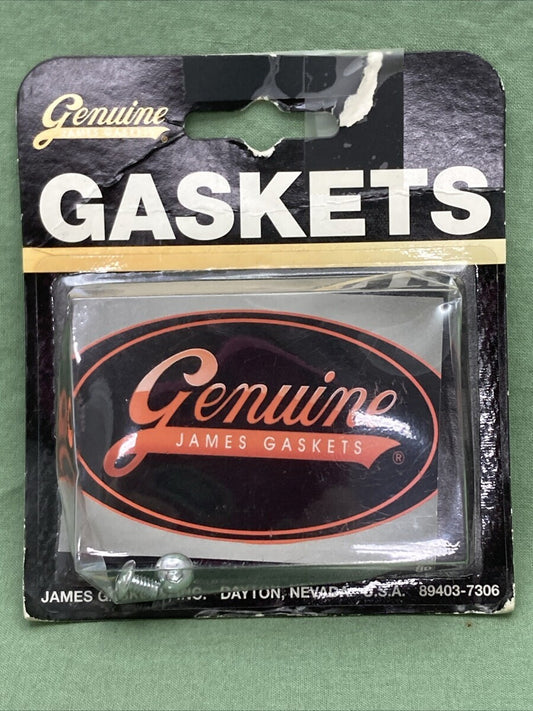NEW GENUINE JAMES GASKET JGI-45790-80-BH FORK DRAIN SCREW KIT