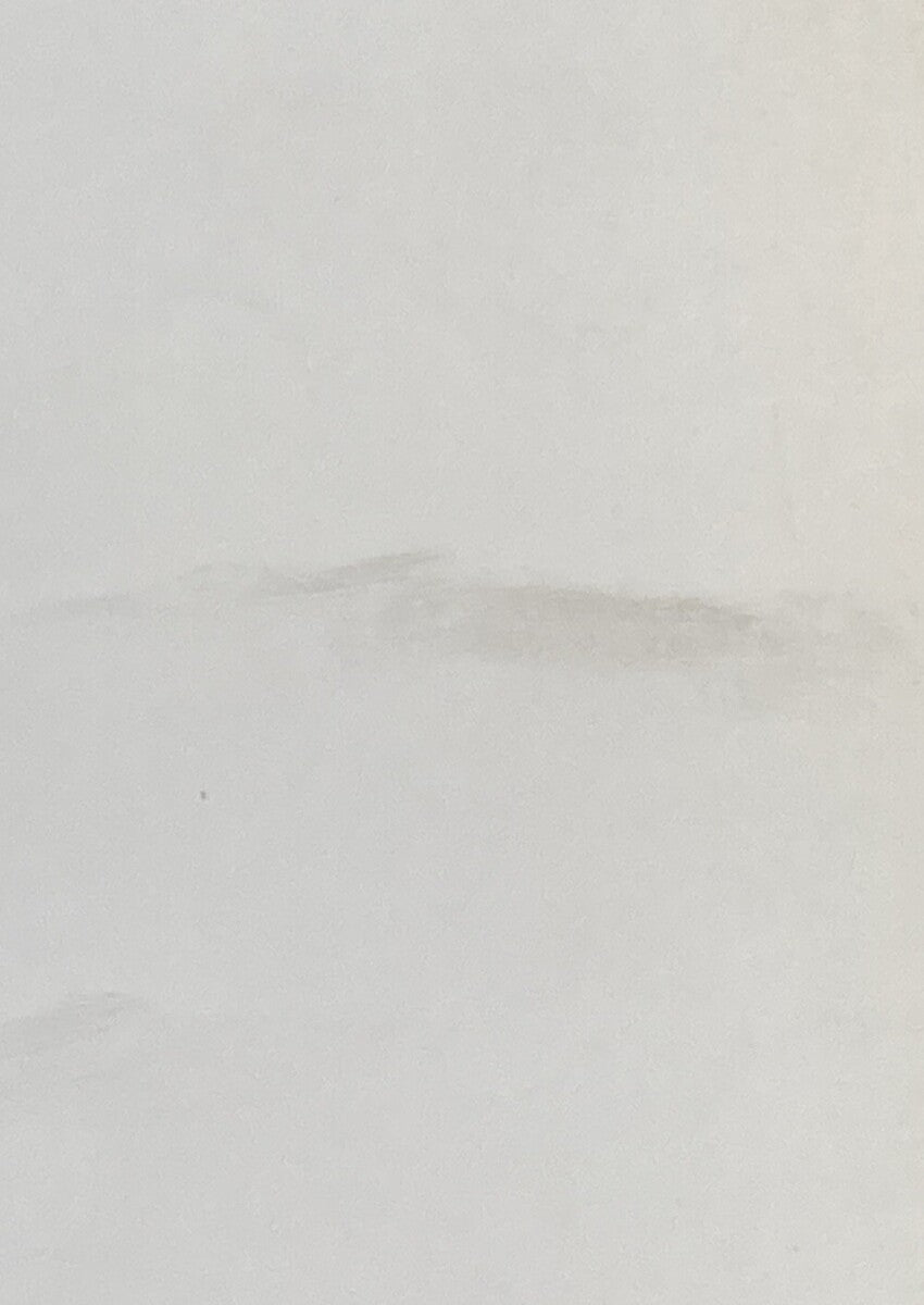 GENUINE HARLEY DAVIDSON 99949-09 WIRING DIAGRAMS BOOK 2009