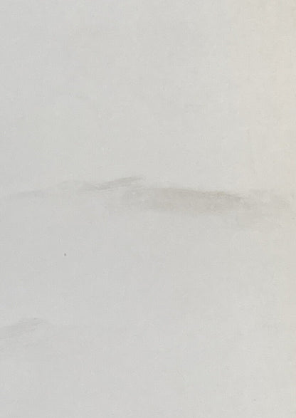 GENUINE HARLEY DAVIDSON 99949-09 WIRING DIAGRAMS BOOK 2009