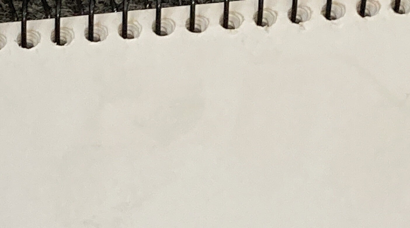 GENUINE HARLEY DAVIDSON 99949-09 WIRING DIAGRAMS BOOK 2009