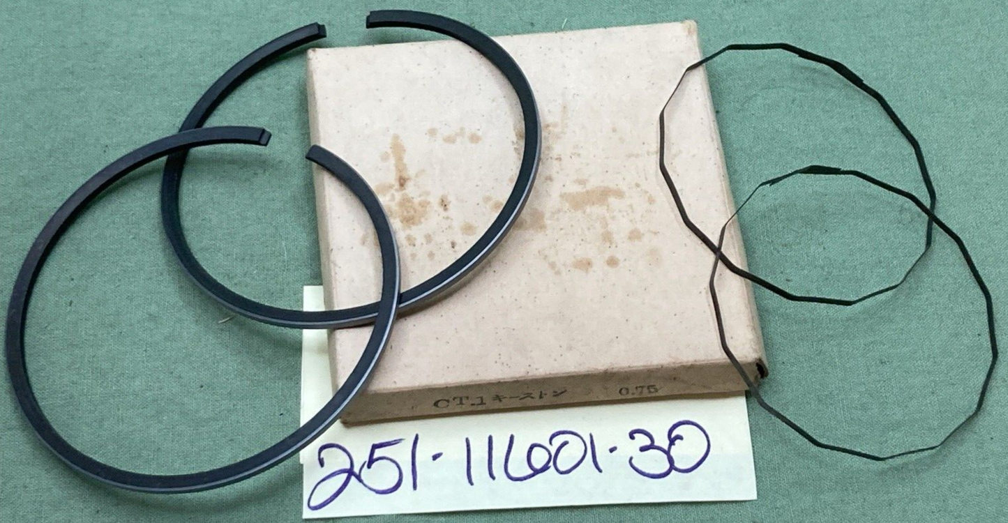 NEW REPLACES YAMAHA 251-11601-30 PISTON RING SET 0.75