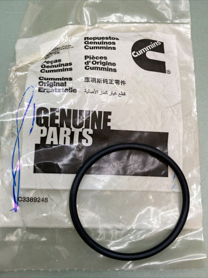 QTY 2 NEW GENUINE CUMMINS 3910517 O Ring-COOLANT Tube MOPAR 04429517