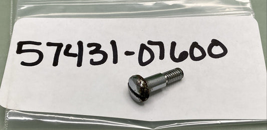 NEW REPLACES SUZUKI 57431-07600 LEVER PIVOT BOLT
