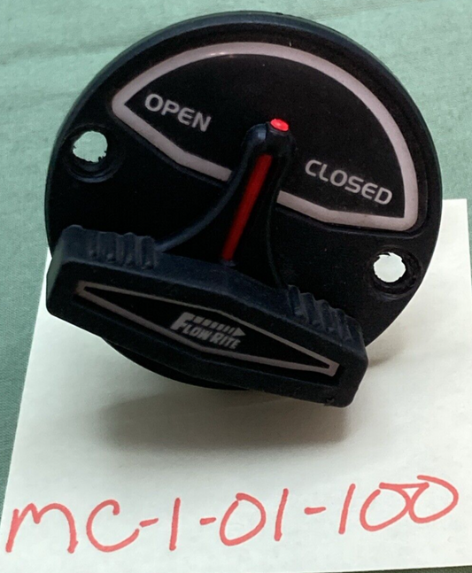 FLOWRITE MC-1-01-100 OPEN/CLOSE ACTUATOR