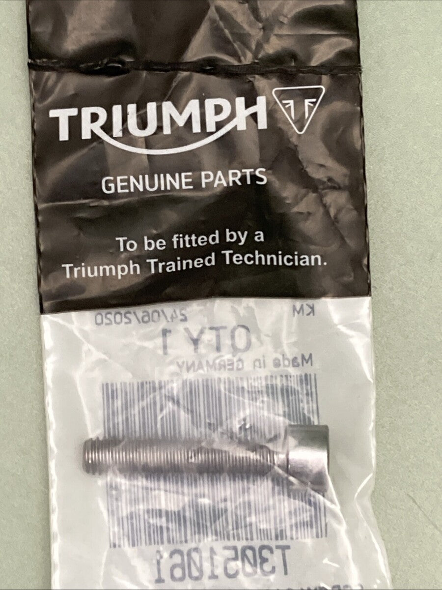 NEW GENUINE TRIUMPH T3051061 Screw, Cap/hd, M6 X 30, Slv