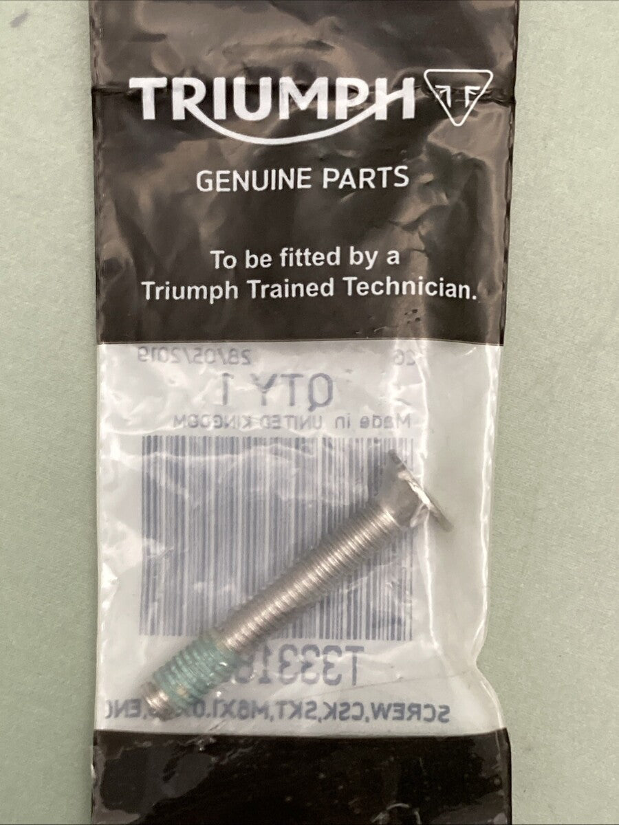 NEW GENUINE TRIUMPH T3331890 Screw, Csk, Skt, M6 X 40, Enc