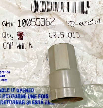 QTY 2 NEW GENUINE GM 10055362 WHEEL NUT CAP, 1990-1994 GM