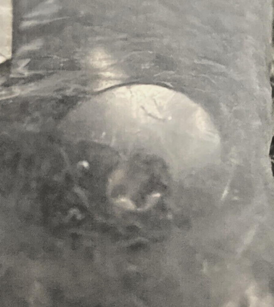 NEW GENUINE BMW  71 60 7 654 904  Fillister Head Screw - M5X18   71607654904