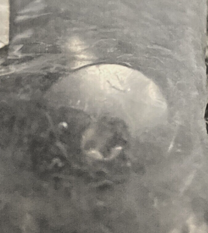 NEW GENUINE BMW  71 60 7 654 904  Fillister Head Screw - M5X18   71607654904