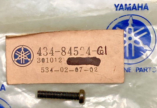 NEW GENUINE YAMAHA 434-84524-61 SCREW LENS FITTING