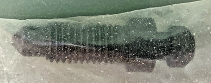 NEW GENUINE HONDA 45224-579-013 VALVE BLEEDER